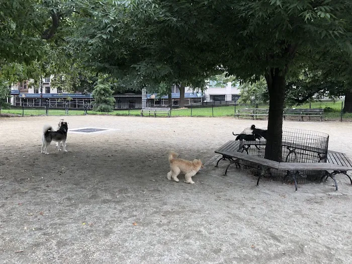 West 72nd Street Dog Run Picture 8