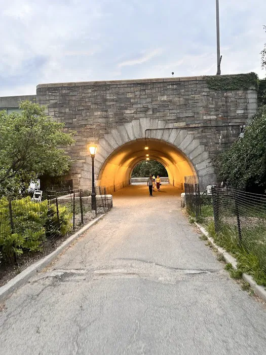 West 72nd Street Dog Run Picture 4