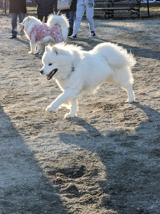 West 72nd Street Dog Run Picture 10
