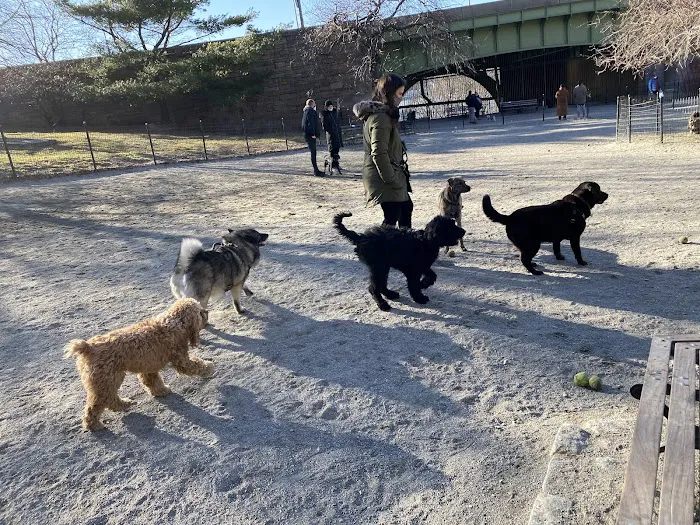 West 72nd Street Dog Run Picture 5