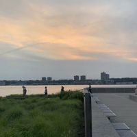 Riverside Park South Dog Run ico