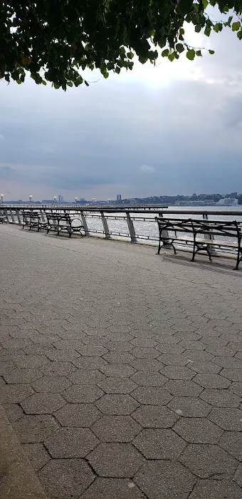 Riverside Park South Dog Run Picture 3