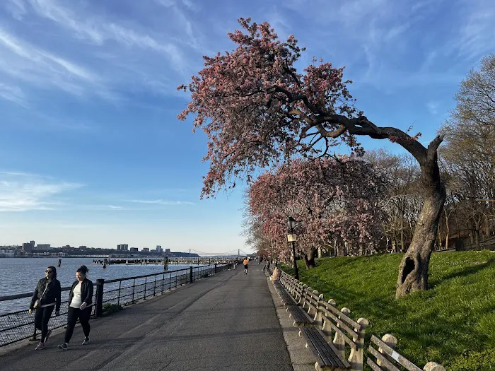 Hudson River Waterfront Greenway Picture 4