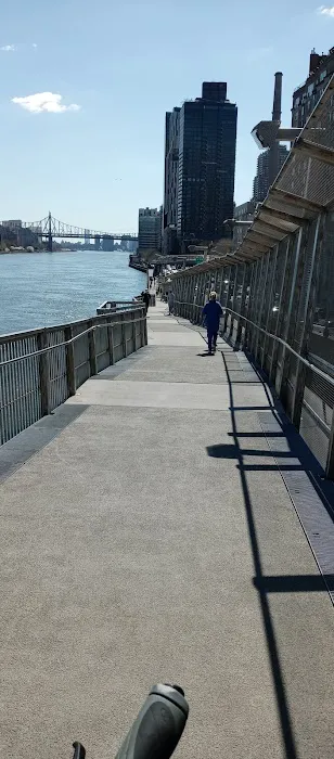 West 87th Street Dog Run Picture 7