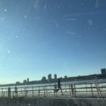 West 87th Street Dog Run