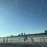 West 87th Street Dog Run ico