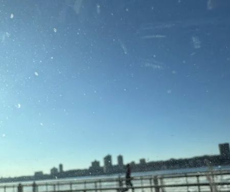 West 87th Street Dog Run
