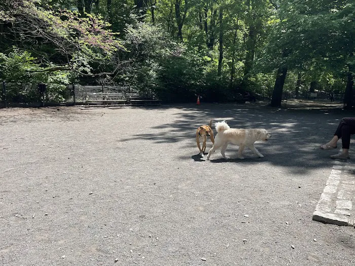 West 87th Street Dog Run Picture 8