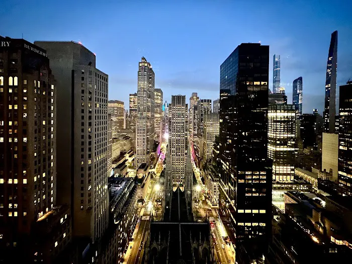 The Towers at Lotte New York Palace Picture 2