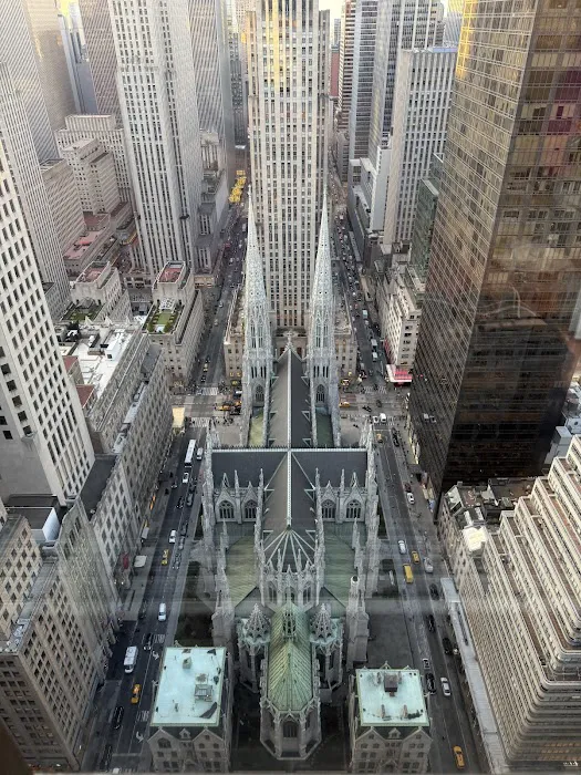 The Towers at Lotte New York Palace Picture 5