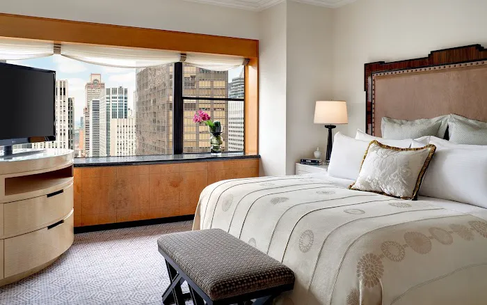 Lotte New York Palace Picture 10
