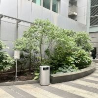 50th Street Commons ico