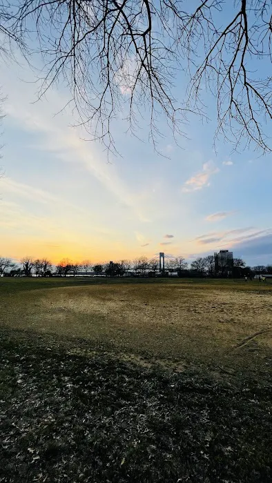 Ben Vitale Ballfields Picture 9