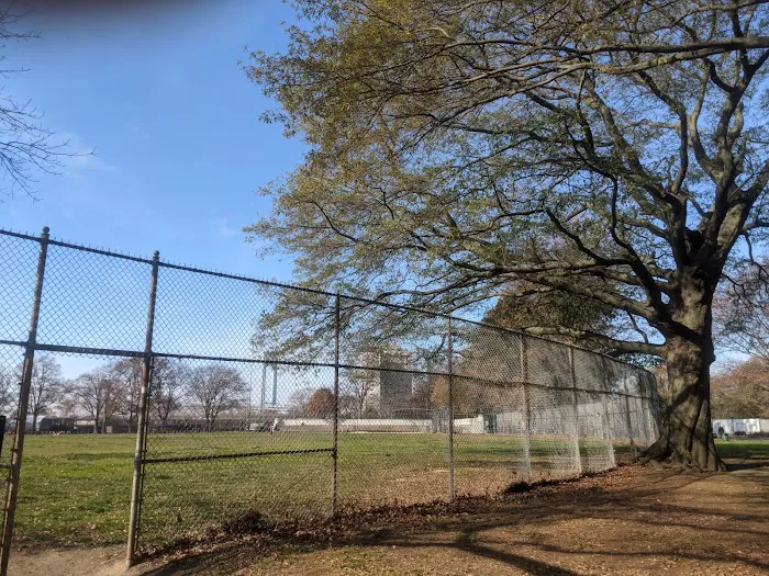 Red Devils Softball Field Picture 4