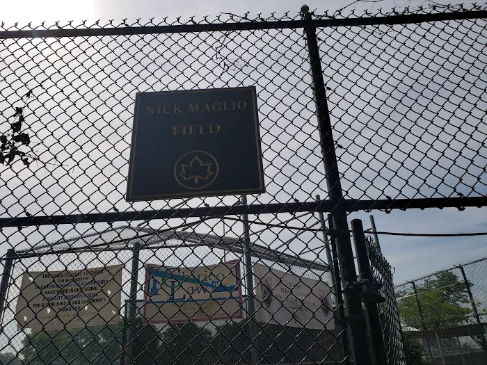 Red Devils Softball Field Picture 6