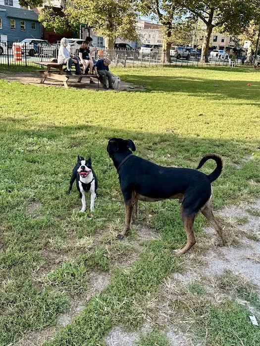 Dyker Beach Dog Run Picture 8