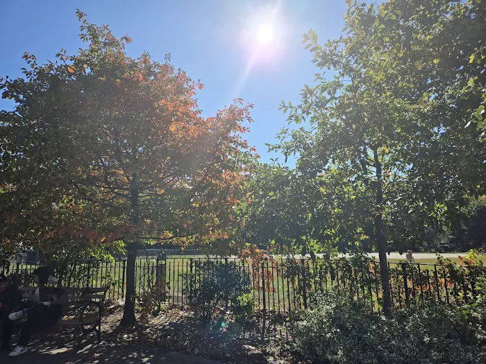 Dyker Beach Dog Run Picture 2