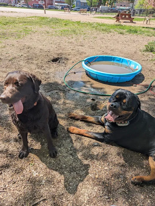 Dyker Beach Dog Run Picture 4