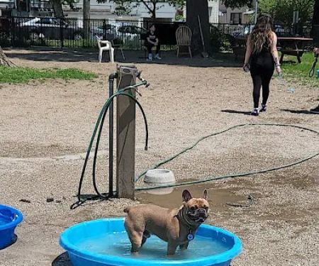 Dyker Beach Dog Run