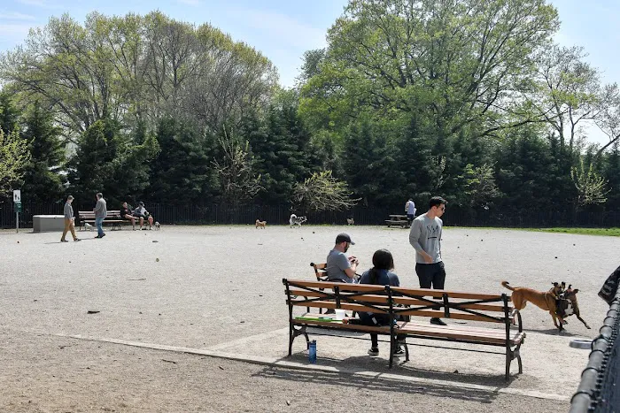 Dyker Beach Dog Run Picture 7