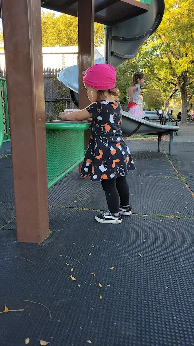Dan Ross Playground Picture 1