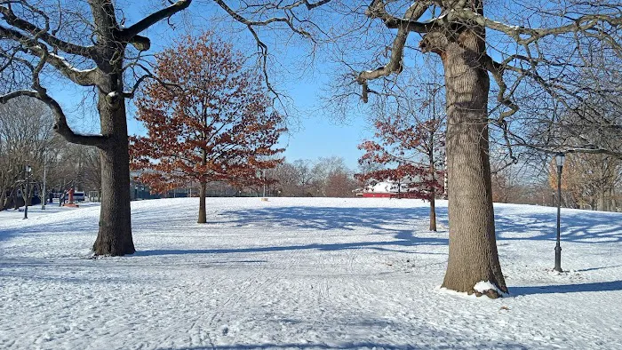 McKinley Park Picture 6