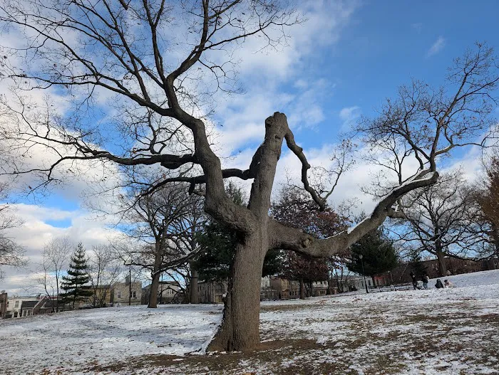 McKinley Park Picture 8