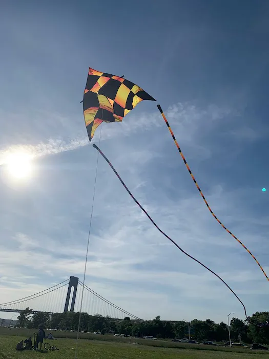 Bay Ridge Kites Picture 7