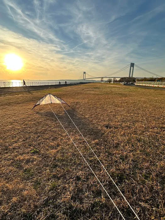 Bay Ridge Kites Picture 9