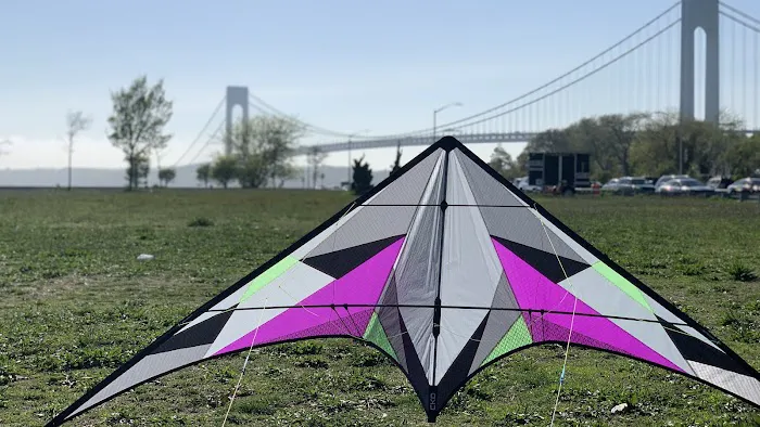 Bay Ridge Kites Picture 4