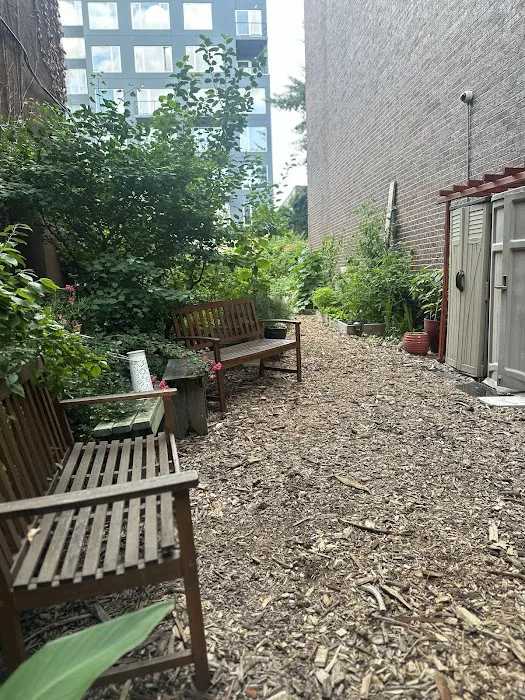 Brooklyn's Finest Garden Picture 6