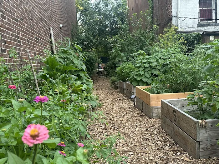 Brooklyn's Finest Garden Picture 3