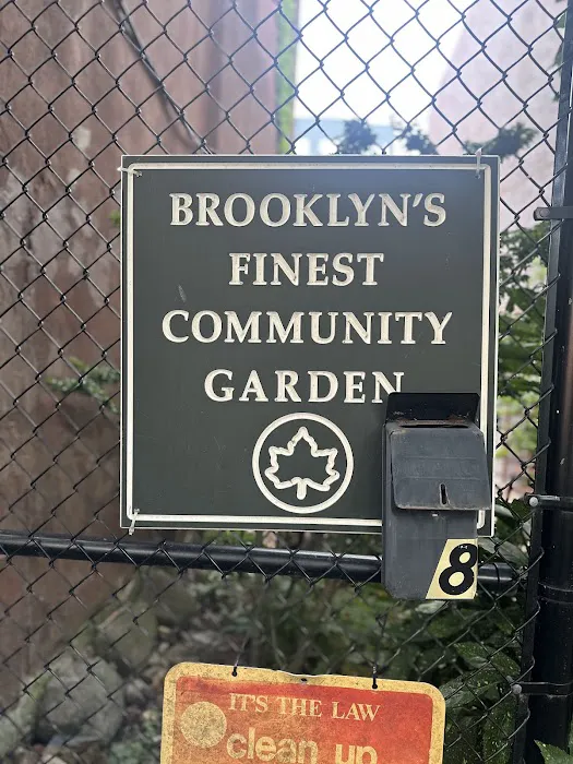 Brooklyn's Finest Garden Picture 1
