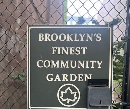 Brooklyn's Finest Garden