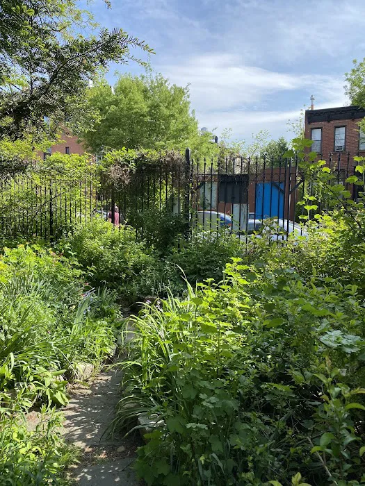 Saint Marks Avenue/Prospect Heights Community Garden Picture 2