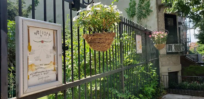 Lincoln-Berkeley Community Garden Picture 7