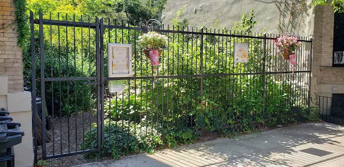 Lincoln-Berkeley Community Garden Picture 2