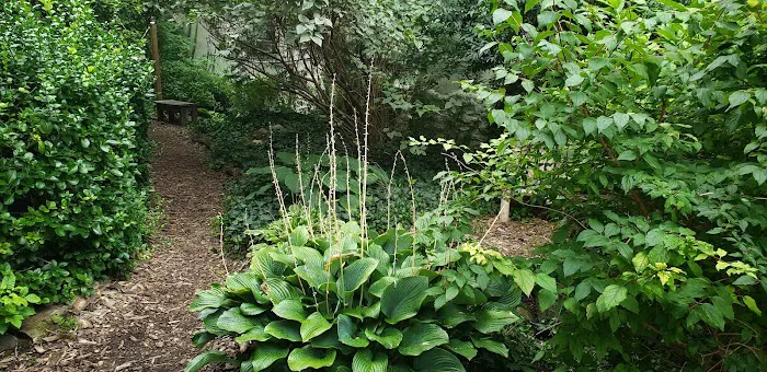 Lincoln-Berkeley Community Garden Picture 5