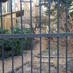 Lincoln-Berkeley Community Garden