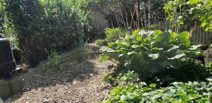 Lincoln-Berkeley Community Garden Picture 4