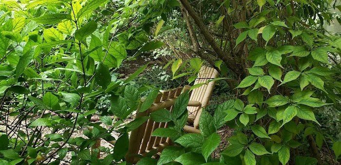 Lincoln-Berkeley Community Garden Picture 8