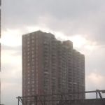 64th Street Community Garden