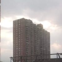 64th Street Community Garden ico