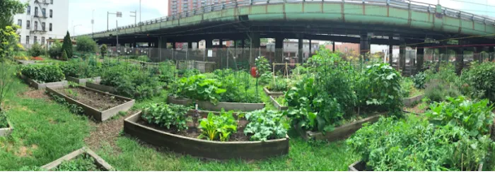 64th Street Community Garden Picture 2