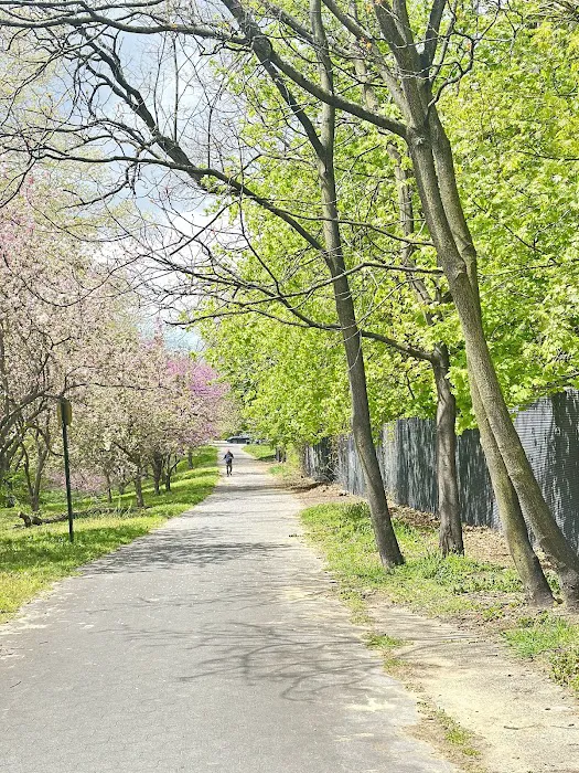 Leif Ericson Park Picture 9
