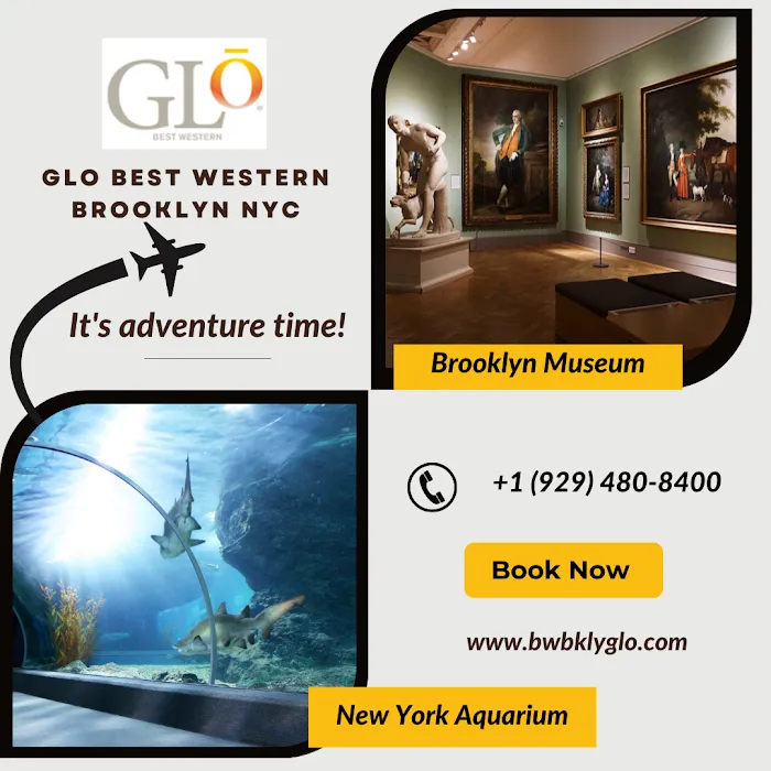 GLō Best Western Brooklyn Nyc Picture 9