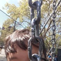 Greene Playground ico