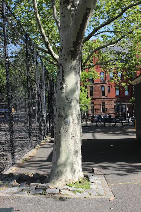 Greene Playground Picture 6