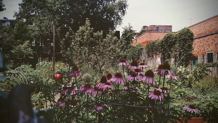 Hollenback Community Garden Picture 1