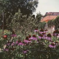 Hollenback Community Garden ico